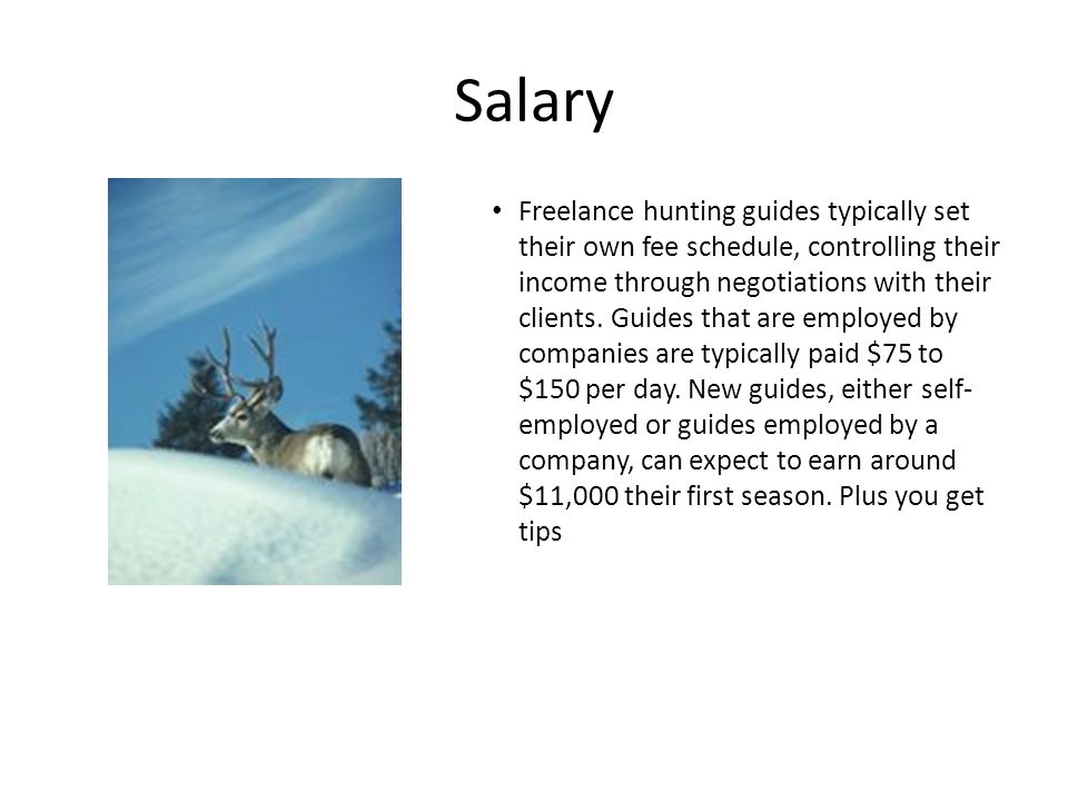 Salary Freelance hunting guides typically set their own fee schedule, controlling their income through negotiations with their clients.