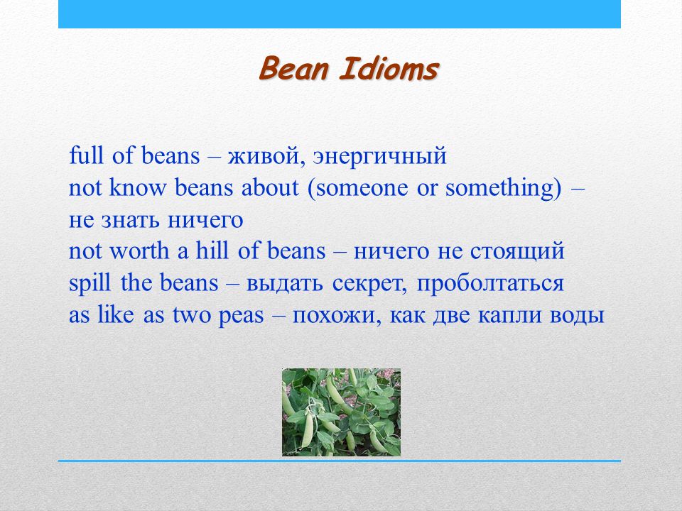 Бобы перевод на английский. Full of Beans идиома. Идиома Full of the. Фразеологизм Full of Beans. To be Full of Beans идиома.