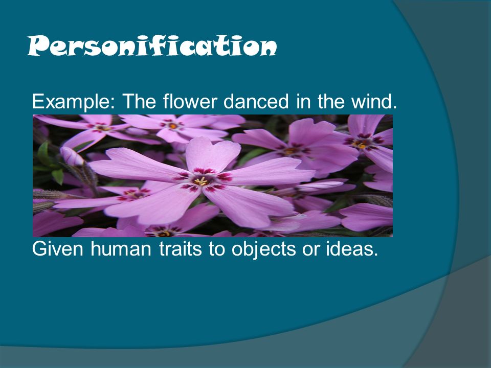 Personification Example: The flower danced in the wind. Given human traits to objects or ideas.