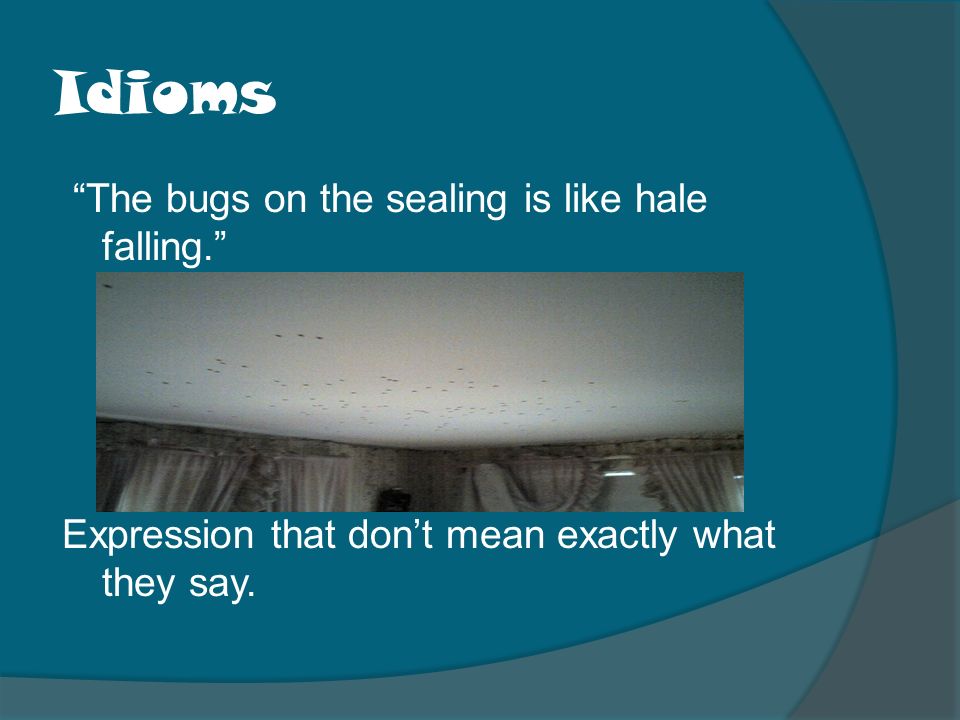 Idioms The bugs on the sealing is like hale falling. Expression that don’t mean exactly what they say.