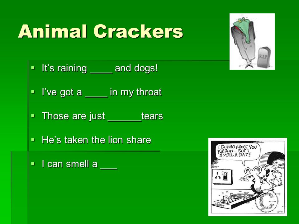 Animal Crackers  It’s raining ____ and dogs.