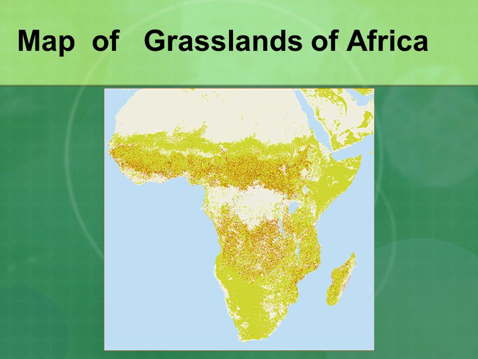 grasslands in africa map Grasslands Of Africa Lions By Jesus Map Of Africa Ppt Download grasslands in africa map