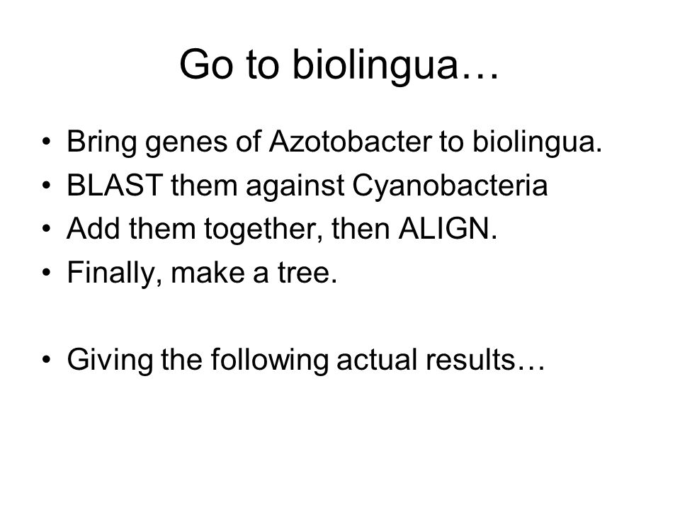 Go to biolingua… Bring genes of Azotobacter to biolingua.