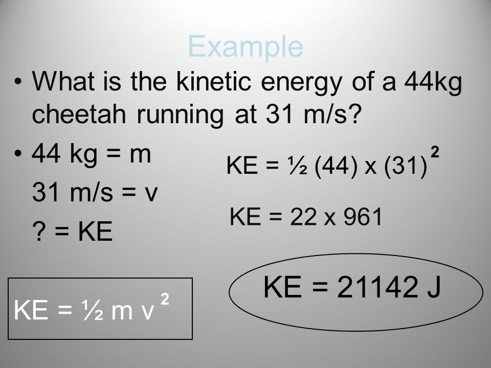 Example What is the kinetic energy of a 44kg cheetah running at 31 m/s.