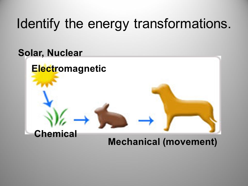 Identify the energy transformations. Solar, Nuclear Electromagnetic Chemical Mechanical (movement)