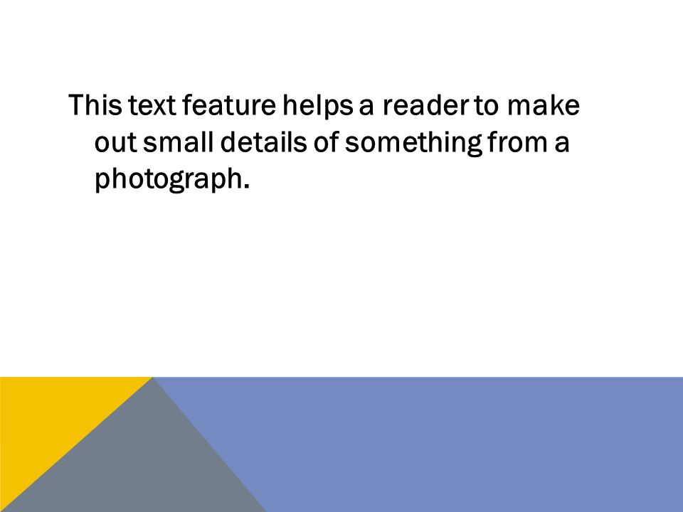 This text feature helps a reader to make out small details of something from a photograph.