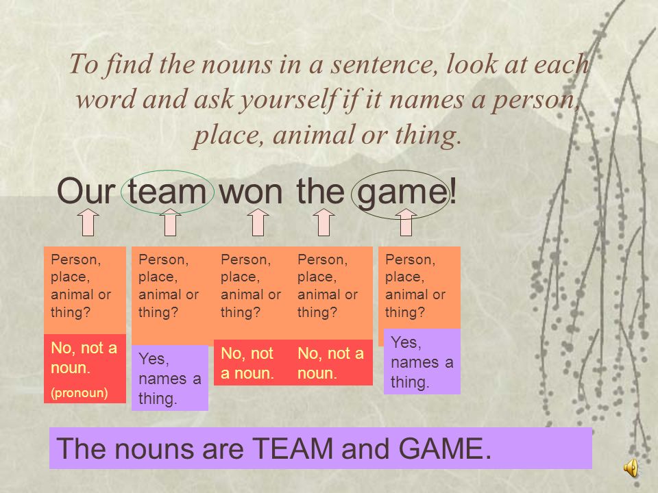 NOUNS IN SENTENCES A noun is a name for a person, place, animal or thing. -  ppt download