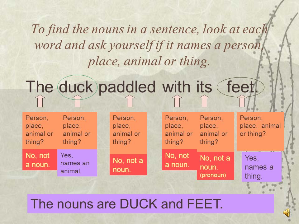 NOUNS IN SENTENCES A noun is a name for a person, place, animal or thing. -  ppt download