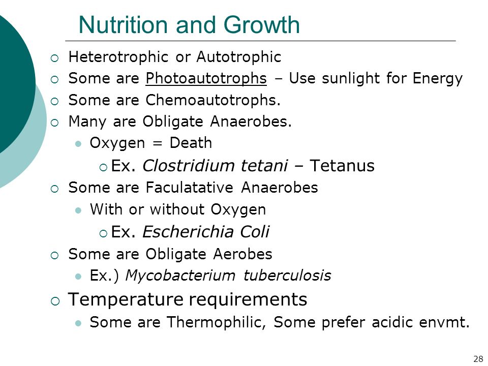 28 Nutrition and Growth  Heterotrophic or Autotrophic  Some are Photoautotrophs – Use sunlight for Energy  Some are Chemoautotrophs.