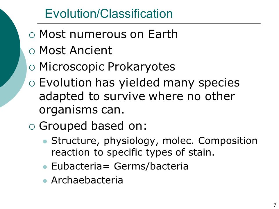 7 Evolution/Classification  Most numerous on Earth  Most Ancient  Microscopic Prokaryotes  Evolution has yielded many species adapted to survive where no other organisms can.