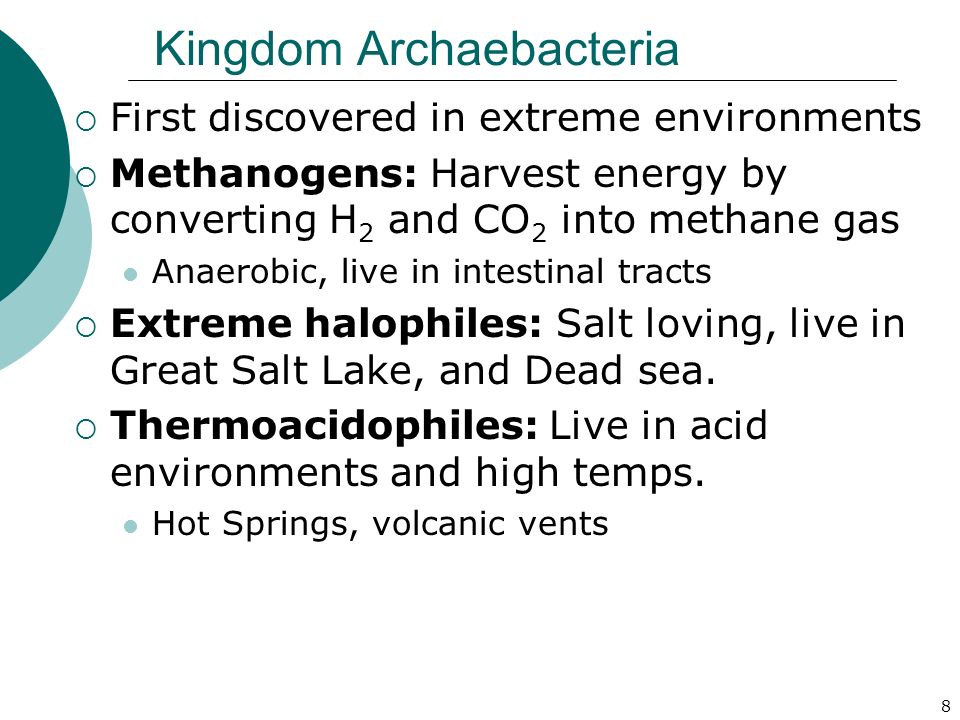 8 Kingdom Archaebacteria  First discovered in extreme environments  Methanogens: Harvest energy by converting H 2 and CO 2 into methane gas Anaerobic, live in intestinal tracts  Extreme halophiles: Salt loving, live in Great Salt Lake, and Dead sea.