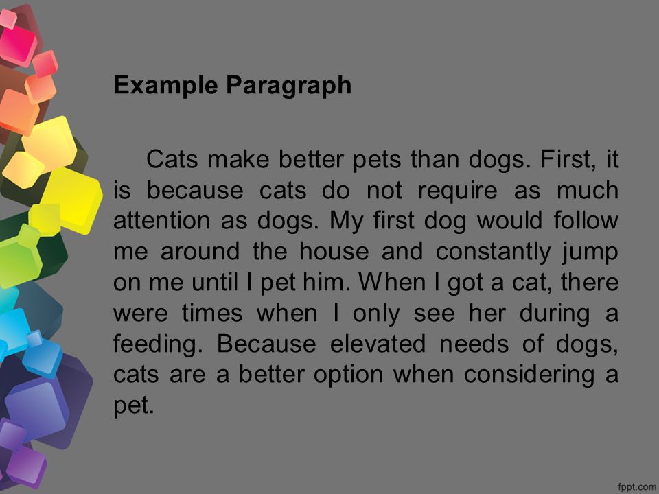 Example Paragraph Cats make better pets than dogs.