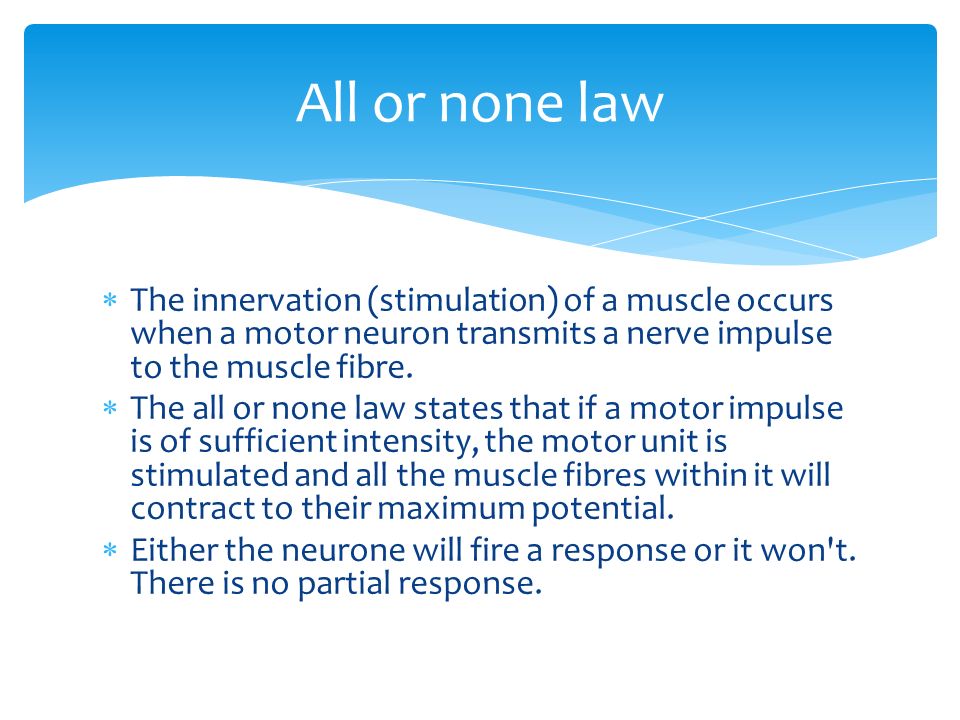 Muscle Fibres Learning Outcomes  All are able to apply knowledge 