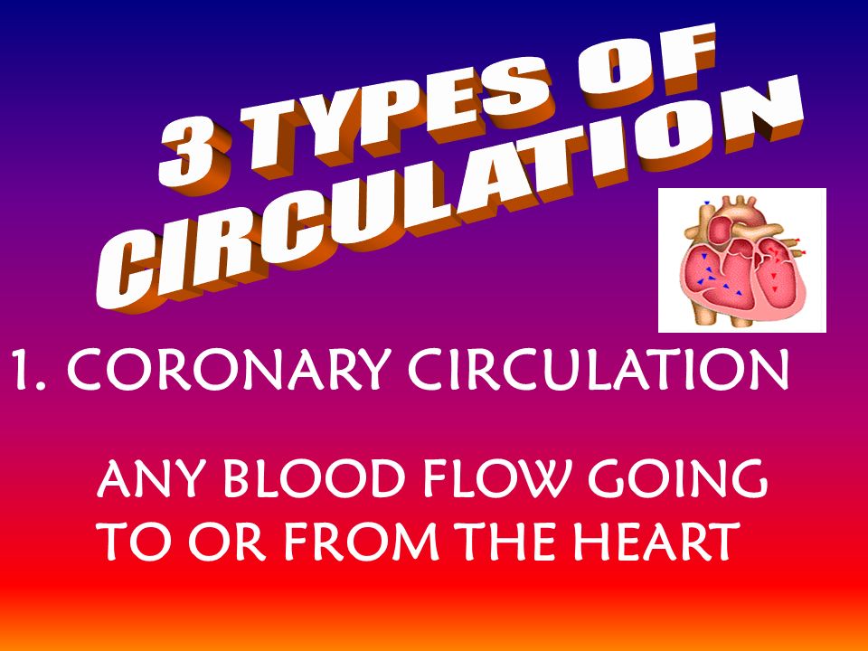 1. CORONARY CIRCULATION ANY BLOOD FLOW GOING TO OR FROM THE HEART
