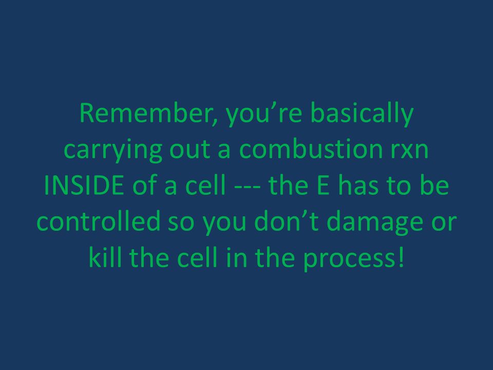 Remember, you’re basically carrying out a combustion rxn INSIDE of a cell --- the E has to be controlled so you don’t damage or kill the cell in the process!