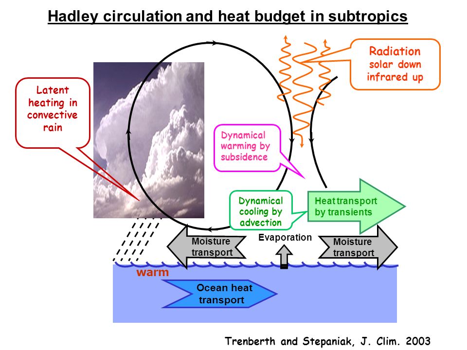 Ocean heat transport Dynamical cooling by advection Dynamical warming by subsidence Radiation solar down infrared up Moisture transport Moisture transport Evaporation Hadley circulation and heat budget in subtropics Latent heating in convective rain warm Heat transport by transients Trenberth and Stepaniak, J.