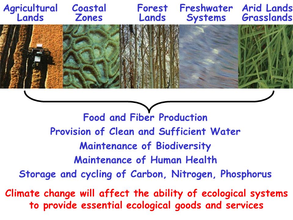 Food and Fiber Production Provision of Clean and Sufficient Water Maintenance of Biodiversity Maintenance of Human Health Storage and cycling of Carbon, Nitrogen, Phosphorus Agricultural Lands Coastal Zones Forest Lands Freshwater Systems Arid Lands Grasslands Climate change will affect the ability of ecological systems to provide essential ecological goods and services
