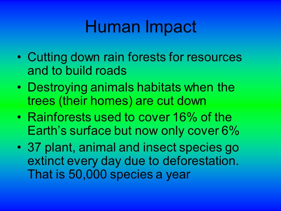 Biomes- The Rain Forest By: Zach Santilli, Vince Char, Alex Savchuk ...