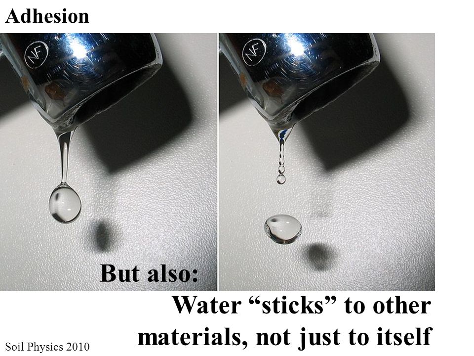 Soil Physics 2010 Adhesion But also: Water sticks to other materials, not just to itself