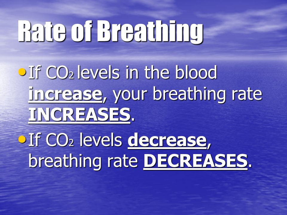 Rate of Breathing If CO 2 levels in the blood increase, your breathing rate INCREASES.