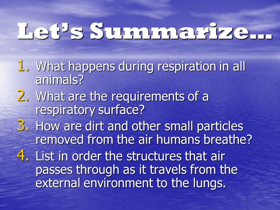 Let’s Summarize… 1. What happens during respiration in all animals.