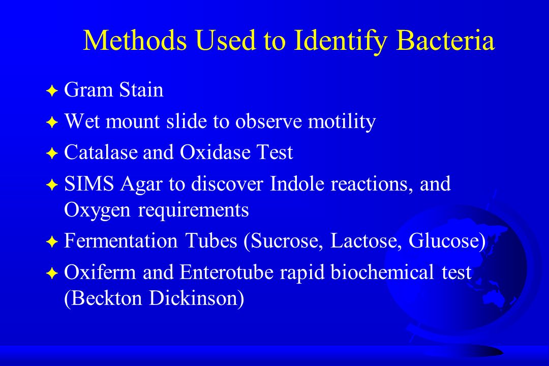Methods Used to Identify Bacteria F Gram Stain F Wet mount slide to observe motility F Catalase and Oxidase Test F SIMS Agar to discover Indole reactions, and Oxygen requirements F Fermentation Tubes (Sucrose, Lactose, Glucose) F Oxiferm and Enterotube rapid biochemical test (Beckton Dickinson)
