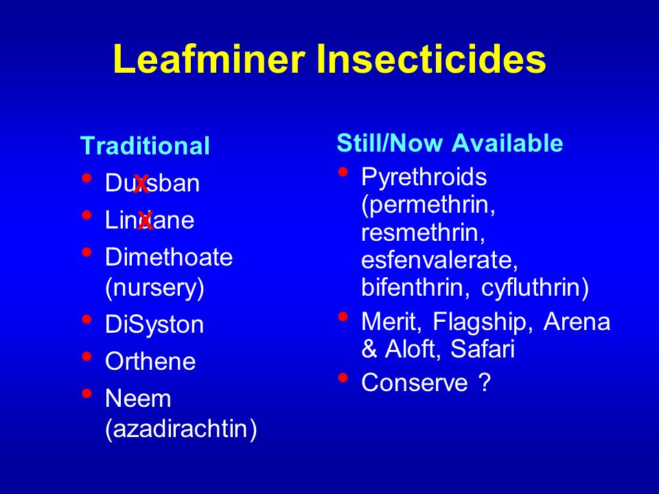 Ornamentals Insect and Mite Update – David J. Shetlar, Ph.D. The “BugDoc”  The Ohio State University, OARDC & OSU Extension Columbus, OH © November, -  ppt download