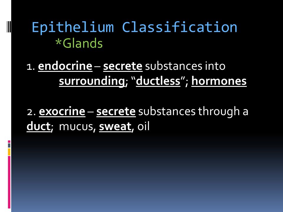 Epithelium Classification *Glands 1.