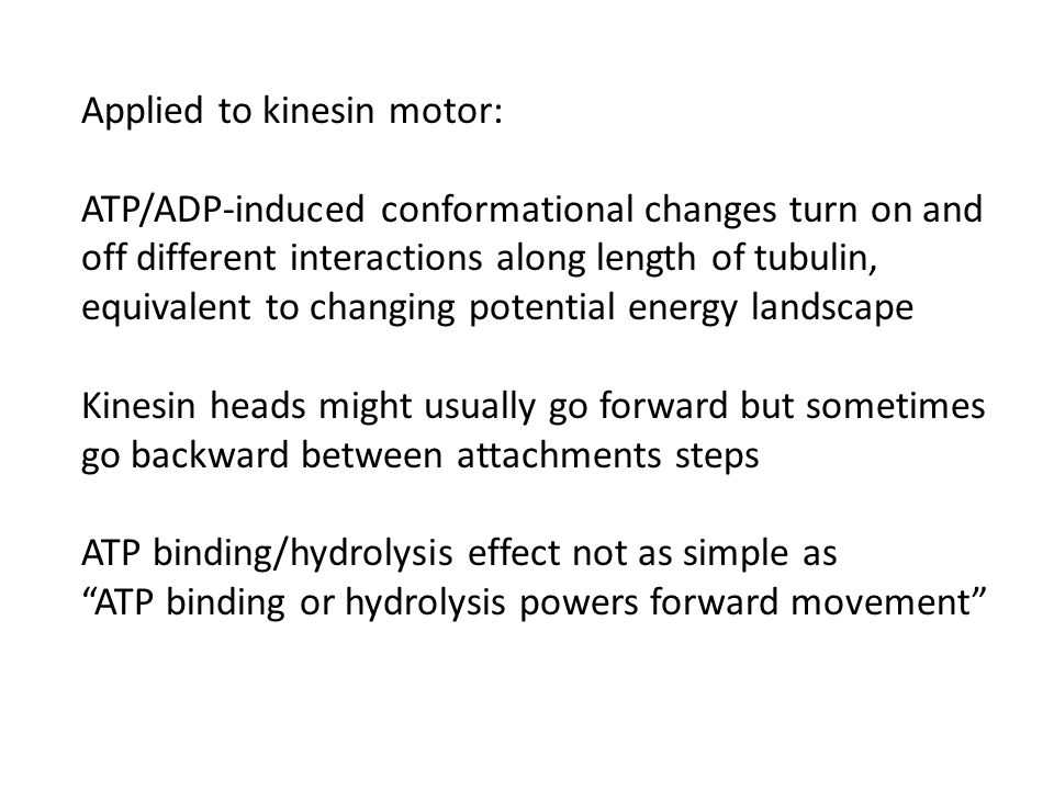 Applied to kinesin motor: ATP/ADP-induced conformational changes turn on and off different interactions along length of tubulin, equivalent to changing potential energy landscape Kinesin heads might usually go forward but sometimes go backward between attachments steps ATP binding/hydrolysis effect not as simple as ATP binding or hydrolysis powers forward movement