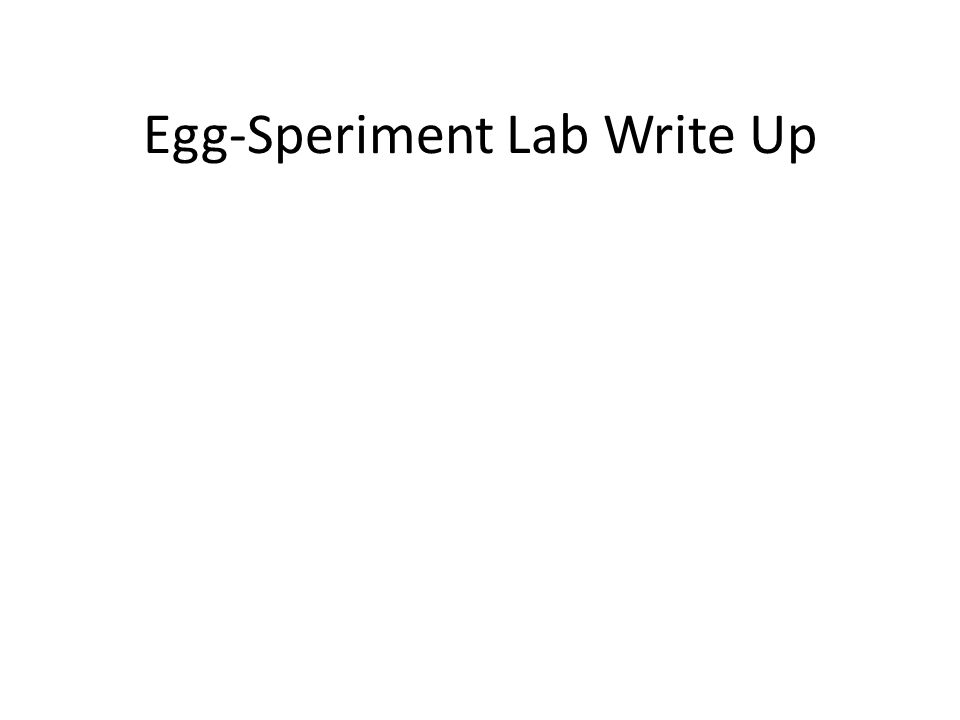 Lab write up instructions