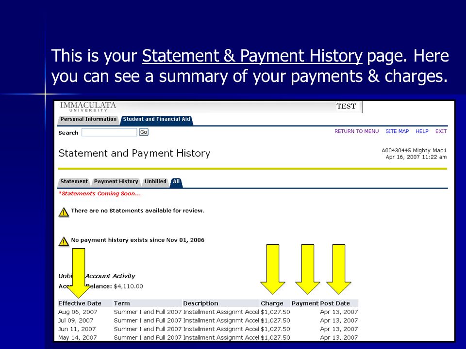 This is your Statement & Payment History page.