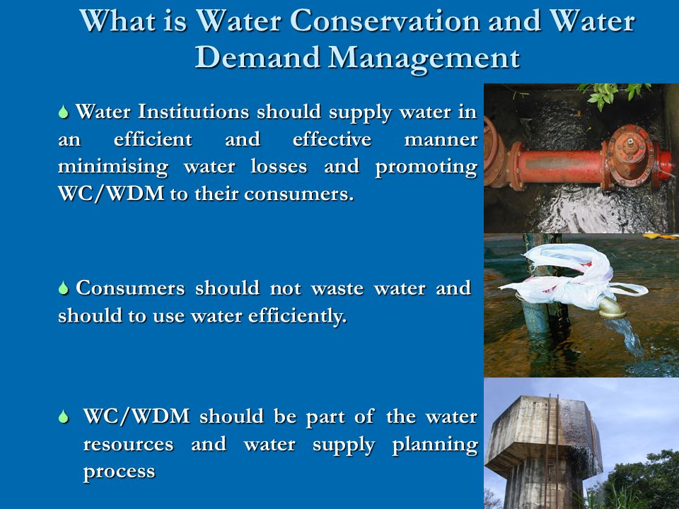 Hayley Rodkin/Cain Chunda Directorate: Water Use Efficiency 26 August ...