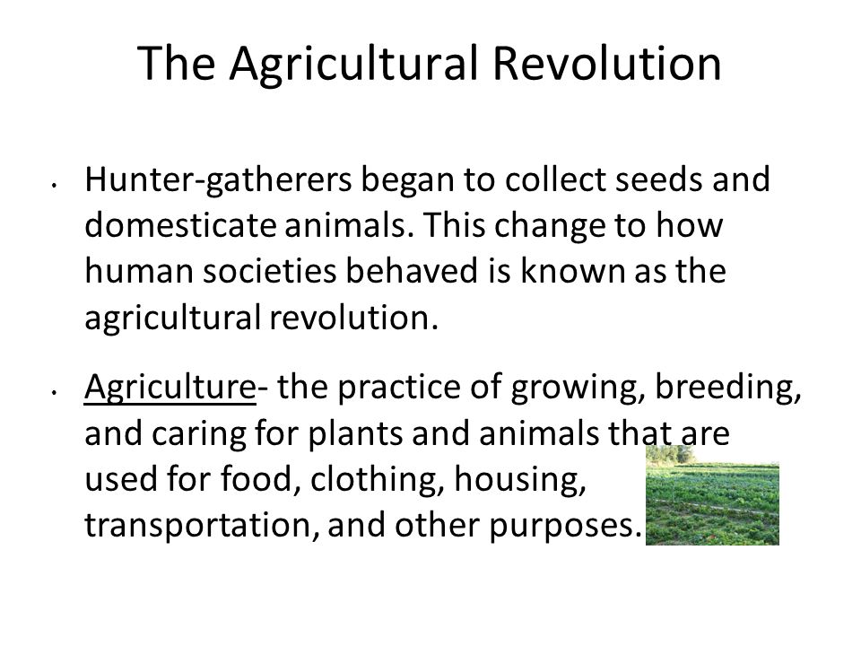 The Agricultural Revolution Hunter-gatherers began to collect seeds and domesticate animals.
