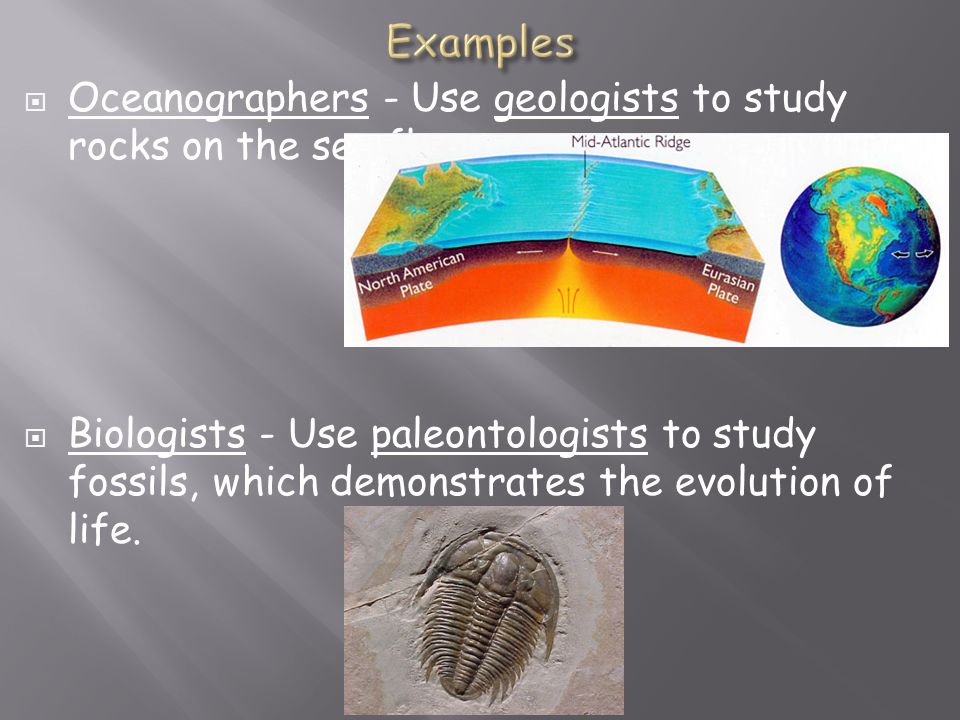  Oceanographers - Use geologists to study rocks on the sea floor.