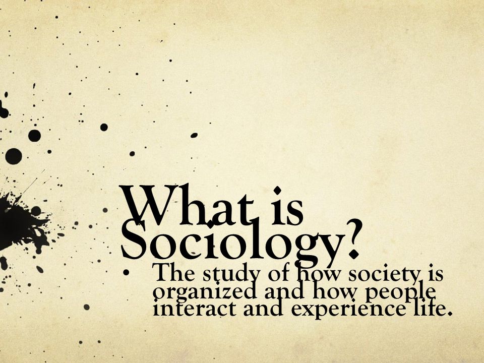What is Sociology.