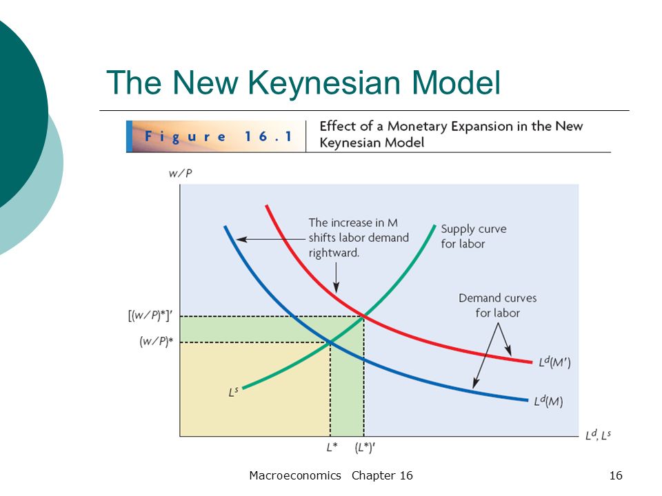 Macroeconomics Chapter 1616 The New Keynesian Model