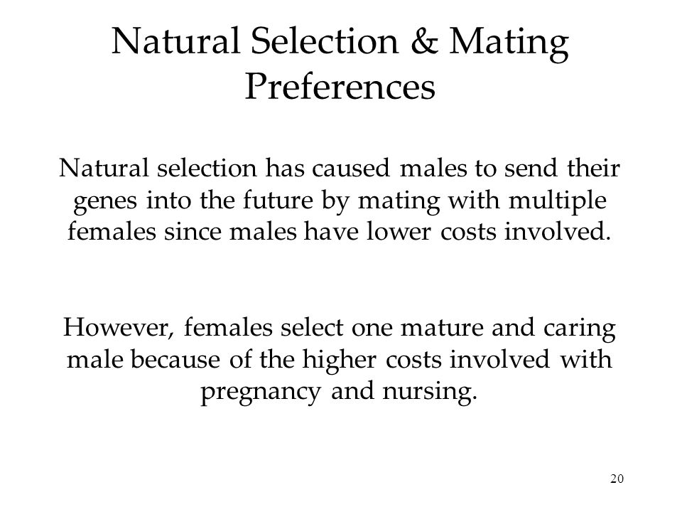 20 Natural Selection & Mating Preferences Natural selection has caused males to send their genes into the future by mating with multiple females since males have lower costs involved.