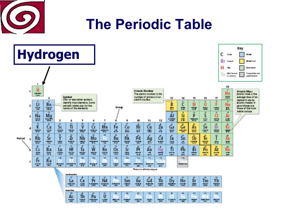 The Periodic Table Can lose or share electrons