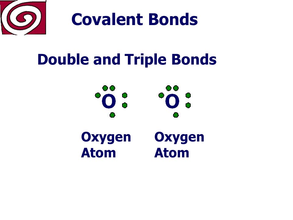 Covalent Bonds H H H Ammonia molecule… Three covalent bonds
