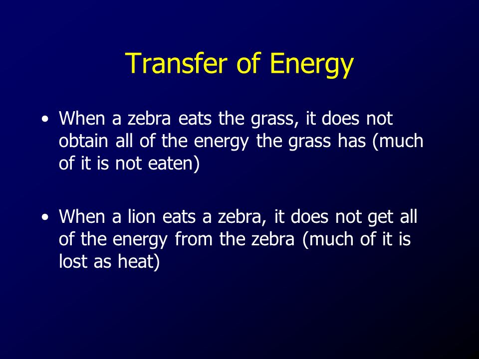 Transfer of Energy When a zebra eats the grass, it does not obtain all of the energy the grass has (much of it is not eaten) When a lion eats a zebra, it does not get all of the energy from the zebra (much of it is lost as heat)