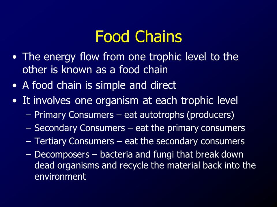 Food Chains The energy flow from one trophic level to the other is known as a food chain A food chain is simple and direct It involves one organism at each trophic level –Primary Consumers – eat autotrophs (producers) –Secondary Consumers – eat the primary consumers –Tertiary Consumers – eat the secondary consumers –Decomposers – bacteria and fungi that break down dead organisms and recycle the material back into the environment