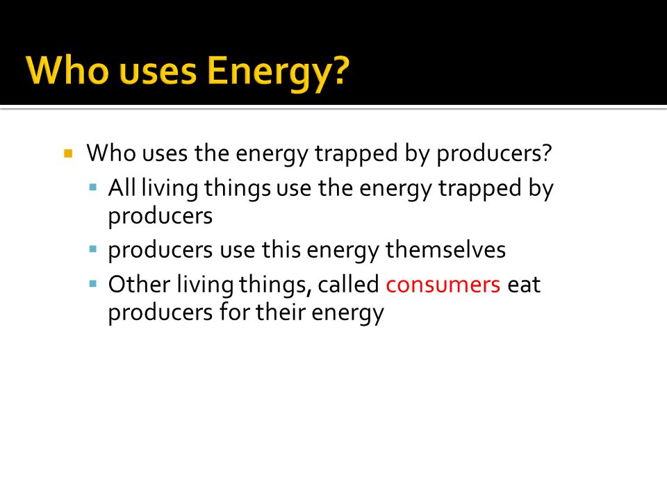  Who uses the energy trapped by producers.