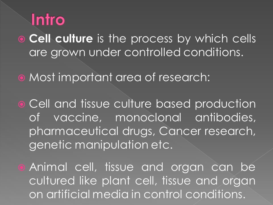 Cell culture is the process by which cells are grown under controlled  conditions.  Most important area of research:  Cell and tissue culture  based. - ppt download