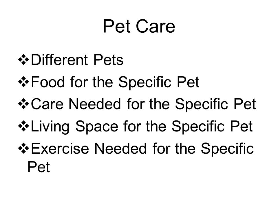 Different Pets  Food for the Specific Pet  Care Needed for the Specific Pet  Living Space for the Specific Pet  Exercise Needed for the Specific Pet
