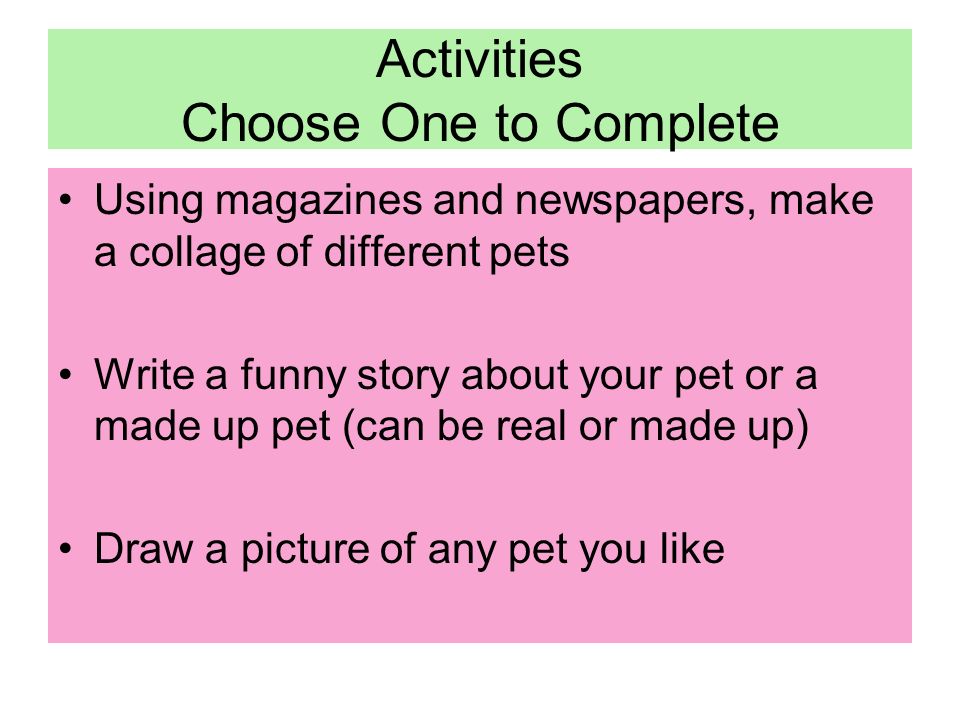 Activities Choose One to Complete Using magazines and newspapers, make a collage of different pets Write a funny story about your pet or a made up pet (can be real or made up) Draw a picture of any pet you like