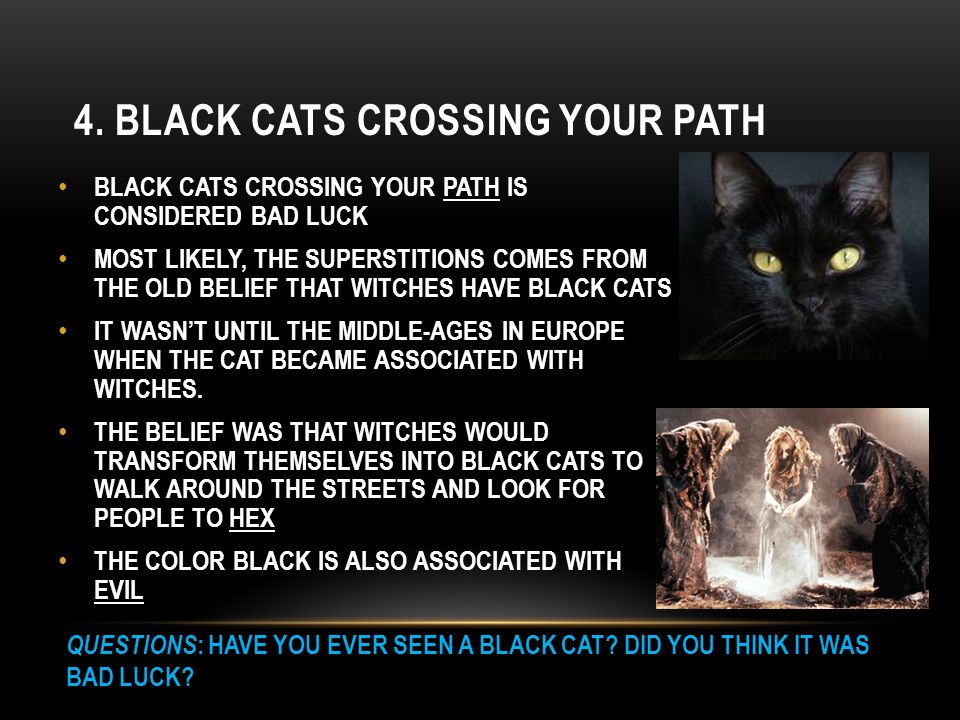 Black Cats, Pinch of Salt, Voodoo & the Q Word: Our Superstitions! - TJM  Promos Inc.