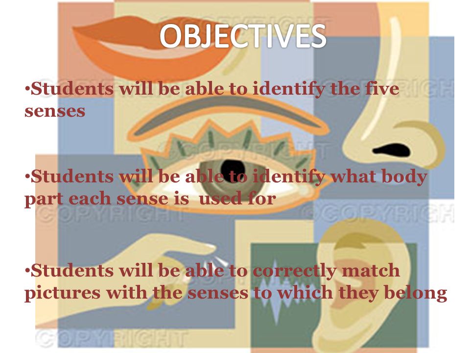 Students will be able to identify the five senses Students will be able to identify what body part each sense is used for Students will be able to correctly match pictures with the senses to which they belong