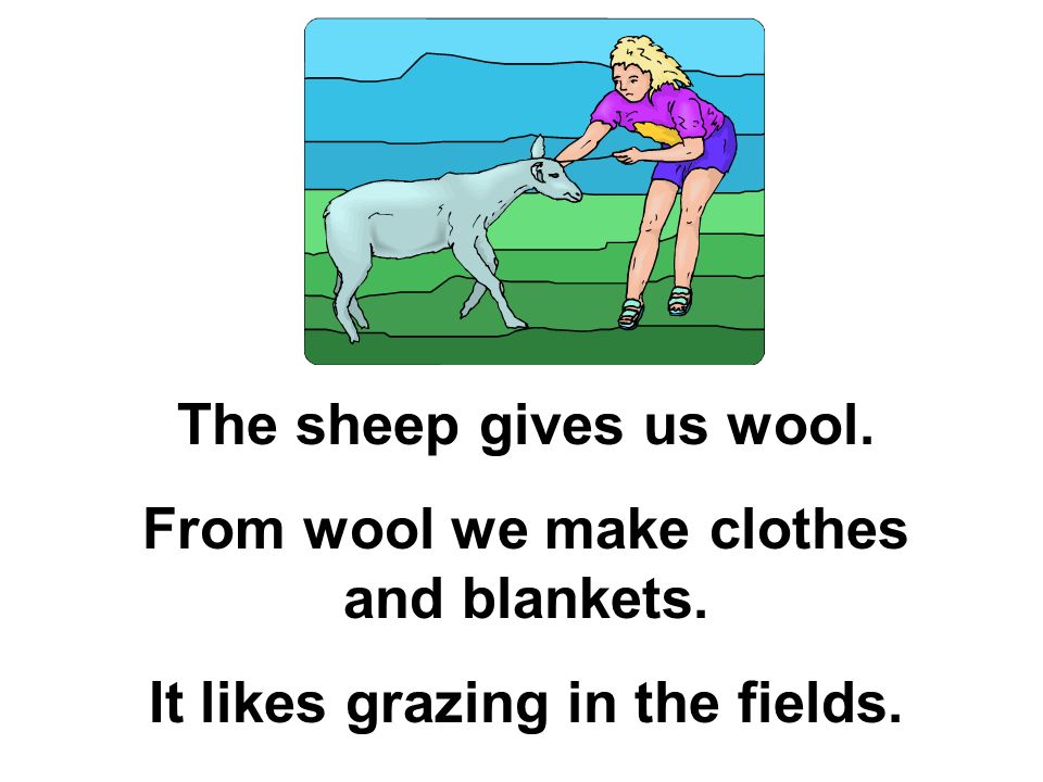 Let's Read About Farm Animals.. The pig lives in a sty. It gives us ham,  bacon and sausages. It has a flat nose and pointed ears. - ppt download