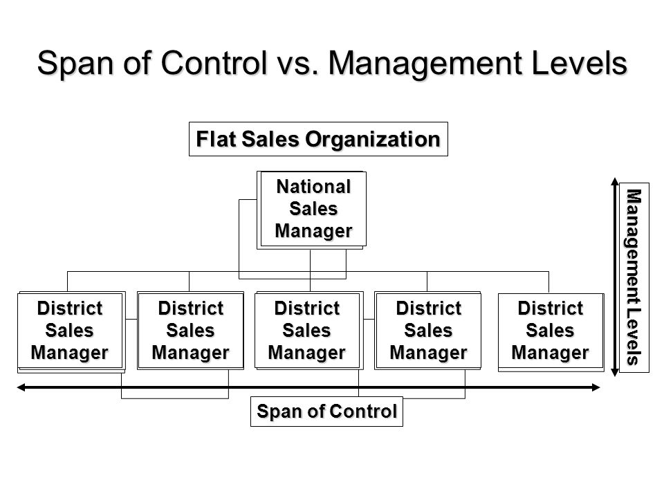 Spin control. Levels of Management. Spans структура. Organizational Control. Span of Management.