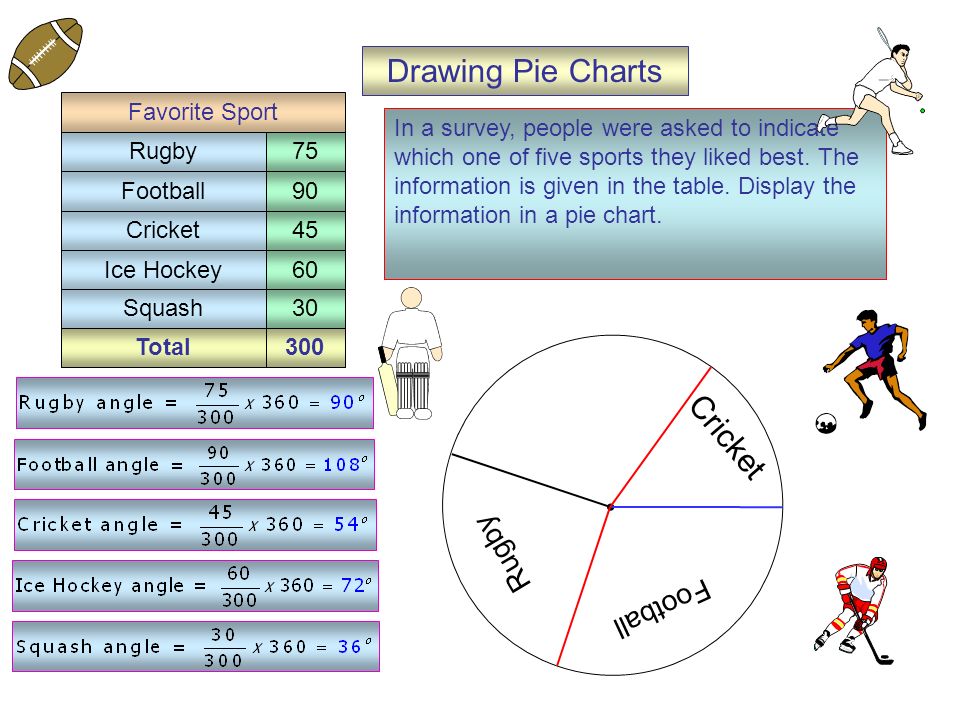Total300 Cricket Drawing Pie Charts In a survey, people were asked to indicate which one of five sports they liked best.
